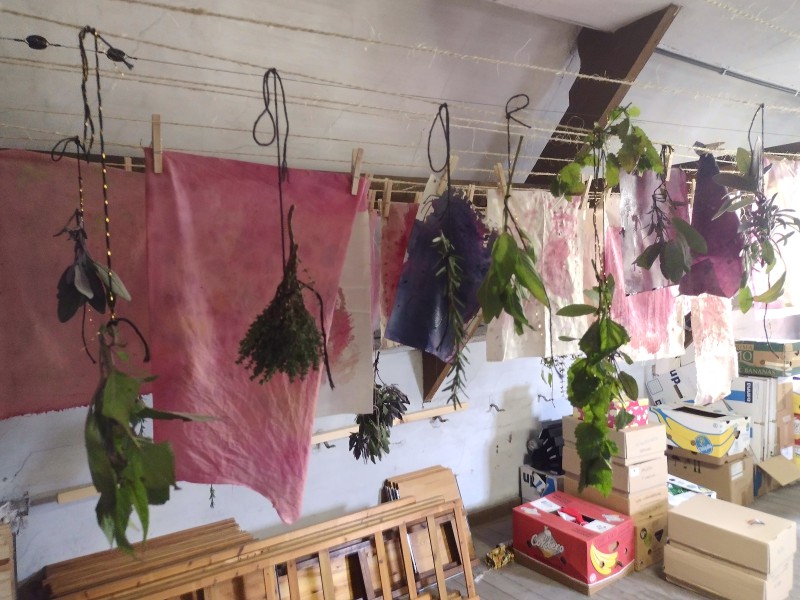 herboristen-labo waarin planten te drogen hangen