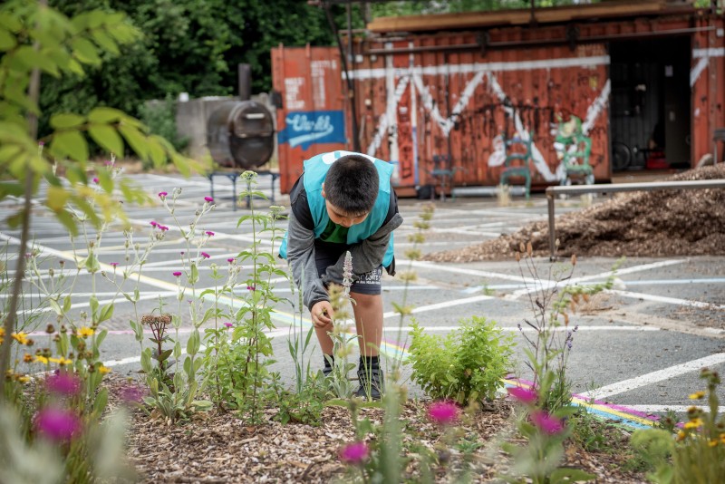 Kind kijkt naar bloemen